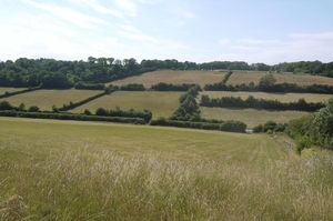 Photo 1- click for photo gallery